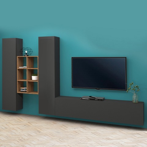 Moderne TV-Wand Manny RT mit 2 Schränken, Bücherregal und 6 Fächern aus Holz Aktion