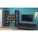 Wohnwand TV Wohnzimmer 2 Vitrinen Bücherregal graues Holz Onir RT Katalog