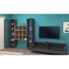 Wohnwand TV Wohnzimmer 2 Vitrinen Bücherregal graues Holz Onir RT Katalog