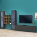 Wohnwand TV Wohnzimmer 2 Vitrinen Bücherregal graues Holz Onir RT Aktion
