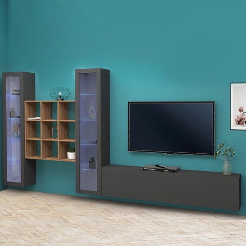 Wohnwand TV Wohnzimmer 2 Vitrinen Bücherregal graues Holz Onir RT Aktion