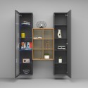 Moderne Wohnwand mit Vitrine, Schrank und Bücherregal aus Holz Teret RT Sales