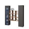 Moderne hängende Wohnwand, schwarzes Bücherregal mit Vitrine Tilla RT Angebot