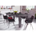 Ausziehbarer Esstisch 90x137-185cm glänzend grau Plus Prisma Katalog