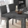 Verlängerung 48 cm für Esstisch Schwarz Oxid Log 180x90 cm Urbino Aktion