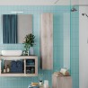 Hängender Badezimmerschrank, 1-türig, weiß, Holz, Bax Aktion