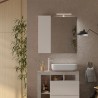 LED-Badezimmerspiegel mit Licht, 1-türig, Weiß-Grau, Pilar BC Katalog
