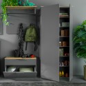 moderner Schrank Garderobe mit 2 Türen, grau Holz und Multifunktionsdesign für den Eingangsbereich, Konrad. Angebot