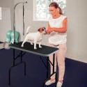 Faltbarer Hundegrooming-Tisch mit Mastiff-Anbindestrick.