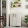 Keter Groove Basso Gartenschrank 80x45x98h mit Einstellbarem Regal Aktion