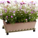 Blumenroller aus Holz mit Rollen 70x40cm Videl R Verkauf
