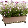Blumenroller aus Holz mit Rollen 70x40cm Videl R Verkauf
