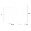 Anlehnhaus aus Holz für Garten, Geräteschuppen Vaniglia 245x102 Sales