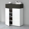 Moderne Schuhregal Weiß 2 Türen 4 Ablagen 76x34x100cm Ayenne Kosten