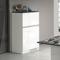 Einbau-Kühlschrankverkleidung mit 2 Türen, Küchenschrank 60x60x164,5h Halser Lagerbestand
