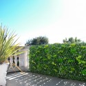 Künstliche Gartenpflanze Hecke 200x100cm ausziehbar Laurus Verkauf
