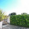 Künstliche Gartenpflanze Hecke 200x100cm ausziehbar Laurus Verkauf