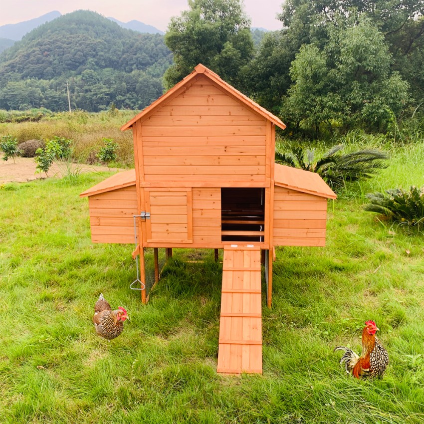  Hegg: Erhöhter Hühnerstall aus Holz 