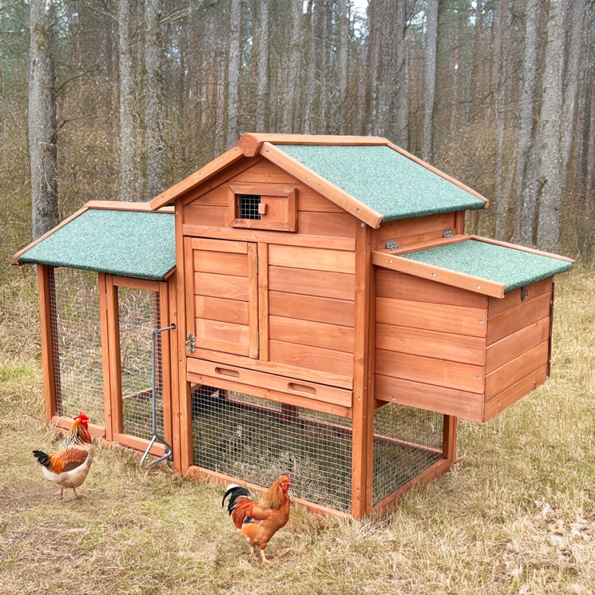  Marf Gartenhühnerstall für Legehennen 