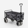 Strand Allzweck faltbarer Bollerwagen 4 breite luftgefüllte Räder Dory Aktion