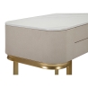 Eingangskonsole mit 2 Schubladen und goldenen Beinen 70x40cm Beauty Modell