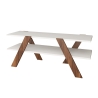Design-TV-Schrank 120 cm Weiß und Holz mit 2 Regalböden Basic Sales