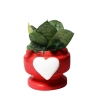 Gastgeschenk mit Sansevieria Nana in dekoriertem Herz-Eden-Topf Angebot