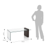 Couchtisch aus gebogenem Glas und Holz 110x55x42cm Feng S Sales