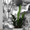 Moderne selbstklebende Tapete in Weiß und Schwarz für Wohnzimmer Cactus Sales