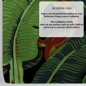 Design-Wandtapete selbstklebend Jungle Nature Schwarze Bananenblätter Katalog