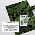 Design-Wandtapete selbstklebend Jungle Nature Schwarze Bananenblätter Lagerbestand