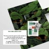 Design-Wandtapete selbstklebend Jungle Nature Schwarze Bananenblätter Lagerbestand