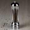 Transparente Salz- und Pfeffermühle für Tisch und Küche 21cm Pierre Gourmet Verkauf