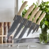 5-teiliges Edelstahl-Messerset mit transparentem Messerblock Pierre Gourmet Angebot