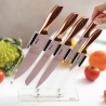 Set mit 5 Edelstahlmessern und transparentem Messerblock Bisetti Stonerose Verkauf