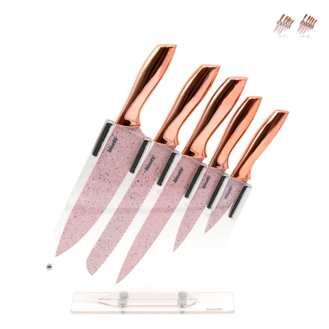 Set mit 5 Edelstahlmessern und transparentem Messerblock Bisetti Stonerose Aktion
