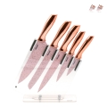 Set mit 5 Edelstahlmessern und transparentem Messerblock Bisetti Stonerose Aktion