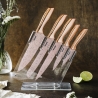 Set mit 5 Edelstahlmessern und transparentem Messerblock Bisetti Stonerose Angebot
