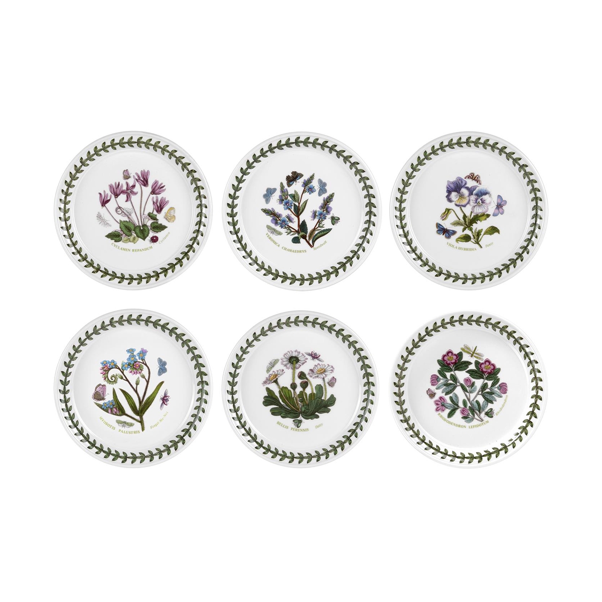 Set aus 6 Brottellern aus Porzellan 16,5 cm Botanic Garden Aktion