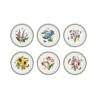 Set aus 6 Porzellantellern 25 cm Portmeirion Botanic Garden Aktion