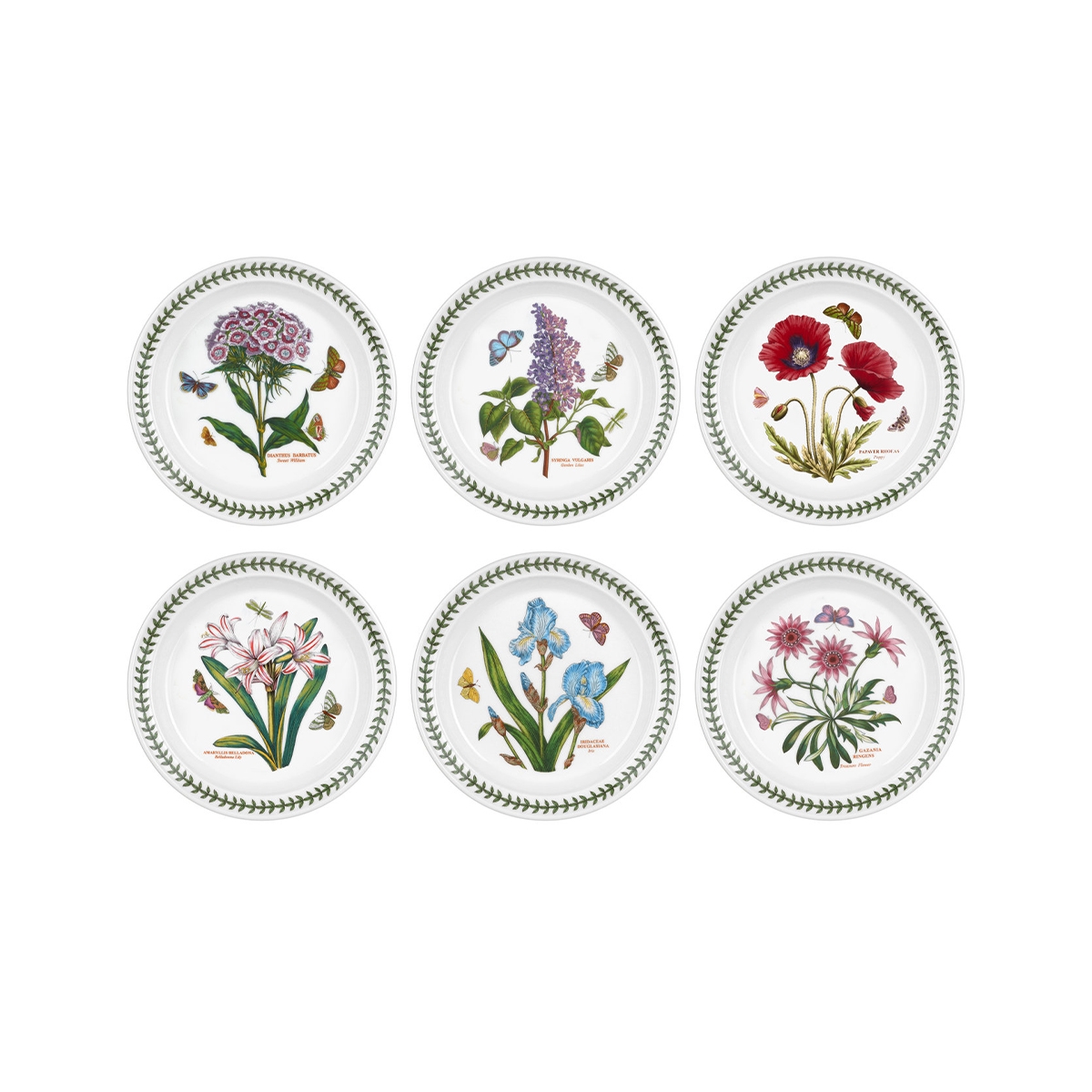 Set aus 6 flachen Tellern 20 cm aus Porzellan Portmeirion Botanic Garden Aktion Set aus 6 flachen Tellern 20 cm aus Porzellan Portmeirion Botanic Garden Aktion
