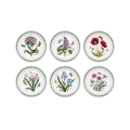 Set aus 6 flachen Tellern 20 cm aus Porzellan Portmeirion Botanic Garden Aktion