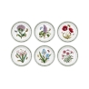 Set aus 6 flachen Tellern 20 cm aus Porzellan Portmeirion Botanic Garden Aktion