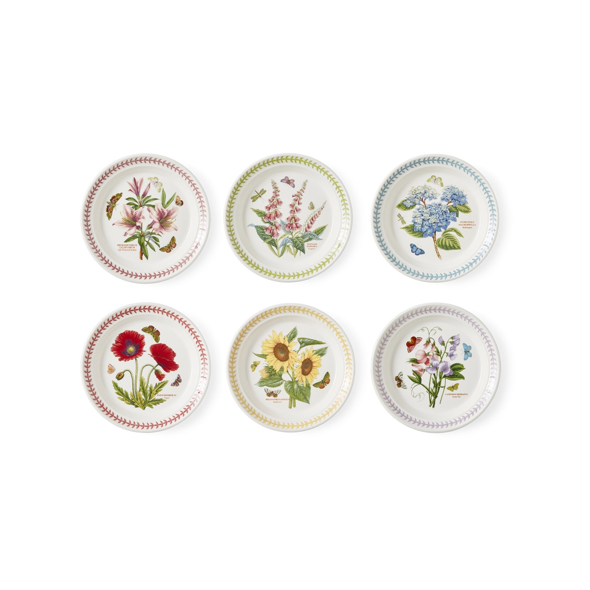 Set aus 6 kleinen Tellern 21,5 cm Portmeirion Botanic Garden Meadow Aktion