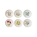Set aus 6 kleinen Tellern 21,5 cm Portmeirion Botanic Garden Meadow Aktion