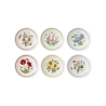 Set aus 6 kleinen Tellern 21,5 cm Portmeirion Botanic Garden Meadow Aktion
