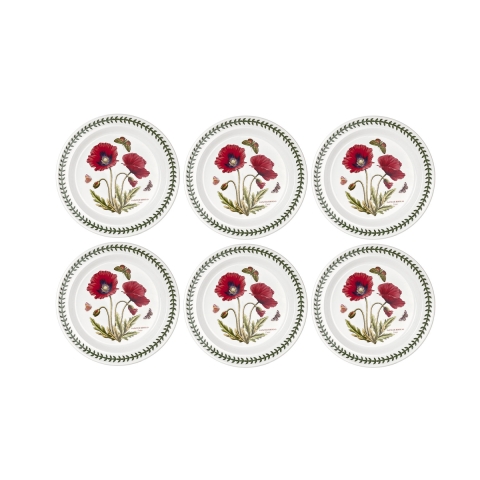 Set mit 6 flachen Tellern 26,7cm aus Porzellan Portmeirion Botanic Garden Aktion