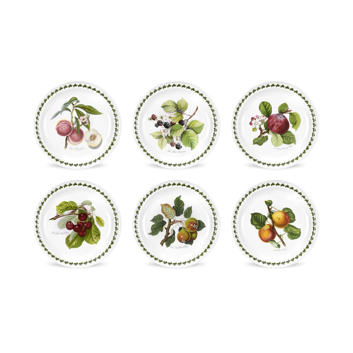 Set aus 6 flachen Porzellantellern 20cm Portmeirion Pomona Aktion