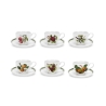 Set aus 6 Teetassen mit Untertasse aus Porzellan Portmeirion Pomona Aktion