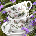 6er-Set Teetassen mit Unterteller aus Porzellan Portmeirion Botanic Garden Angebot